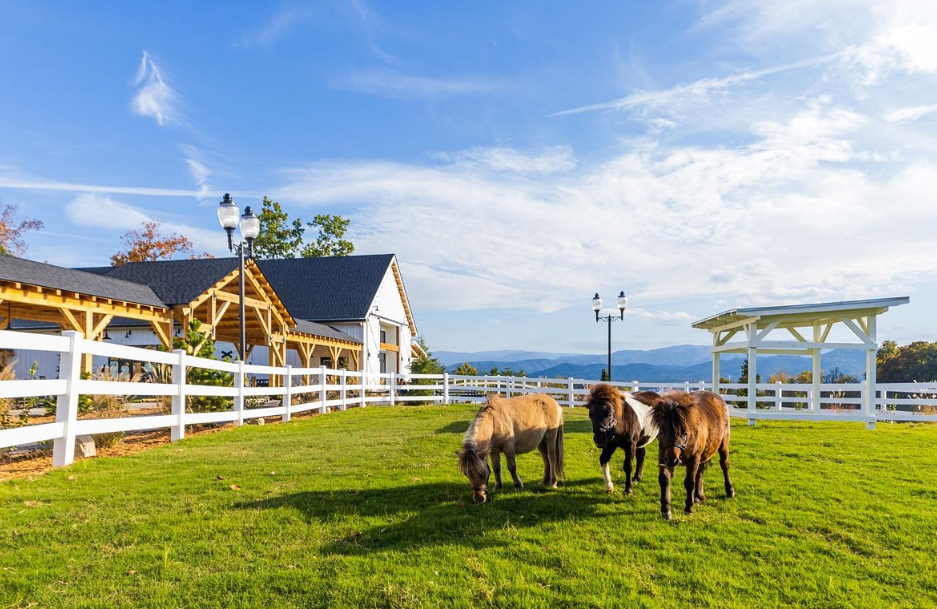 SkyLand Ranch, United States